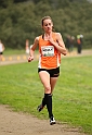2011 BayXC-107